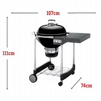 ���� ����� WEBER PERFORMER GBS 15301004