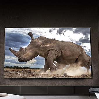 �������� LG ���� 86 ���� 4K ����������� Quantum Dot & NanoCell - QNED ���: 86QNED816RE