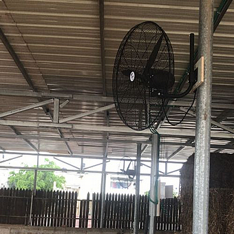 ������ ����� ������� ���� HAVAYA ������ ���  BREEZE VENT 26 
