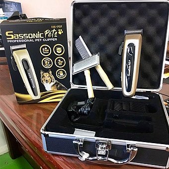����� ������ ����� ���� SASSONIC ESE1707