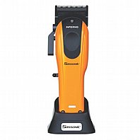 ����� ������ SASSONIC ESE-903