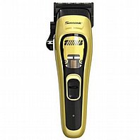 ����� ������ SASSONIC ESE-910