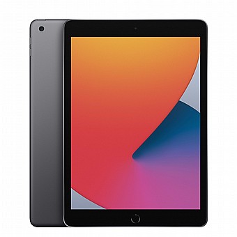 Apple - iPad 10.2 (2020) Wi-Fi 