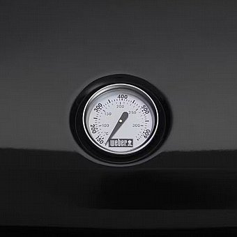���� ����� ���� WEBER ���� ��� COMPACT LUMIN 91010979