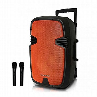 ������� ����� 12� �� 2 ���������� ���� PURE ACOUSTICS ���� ������� PMW3012
