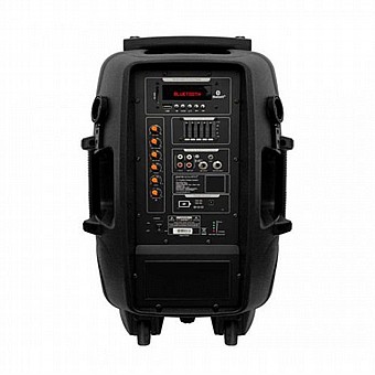 ������� ����� 12� �� 2 ���������� ���� PURE ACOUSTICS ���� ������� PMW3012