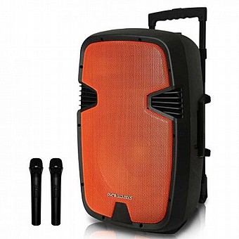 ������� ������ 15� �� ��� ���������� ���� PURE ACOUSTICS  ���� �������� ��� PMW3015