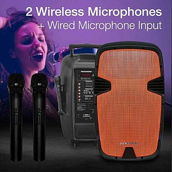 ������� ������ 15� �� ��� ���������� ���� PURE ACOUSTICS  ���� �������� ��� PMW3015