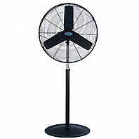 ������ ���� ������� ���� HAVAYA ������ ��� TYPHON 30 STAND