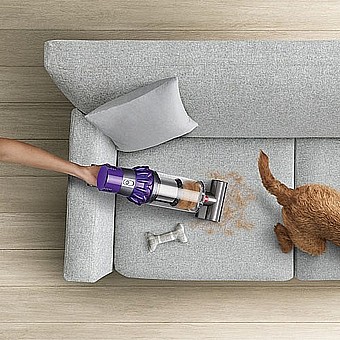 ���� ��� ������ DYSON ������ V10 CYCLONE ANIMAL